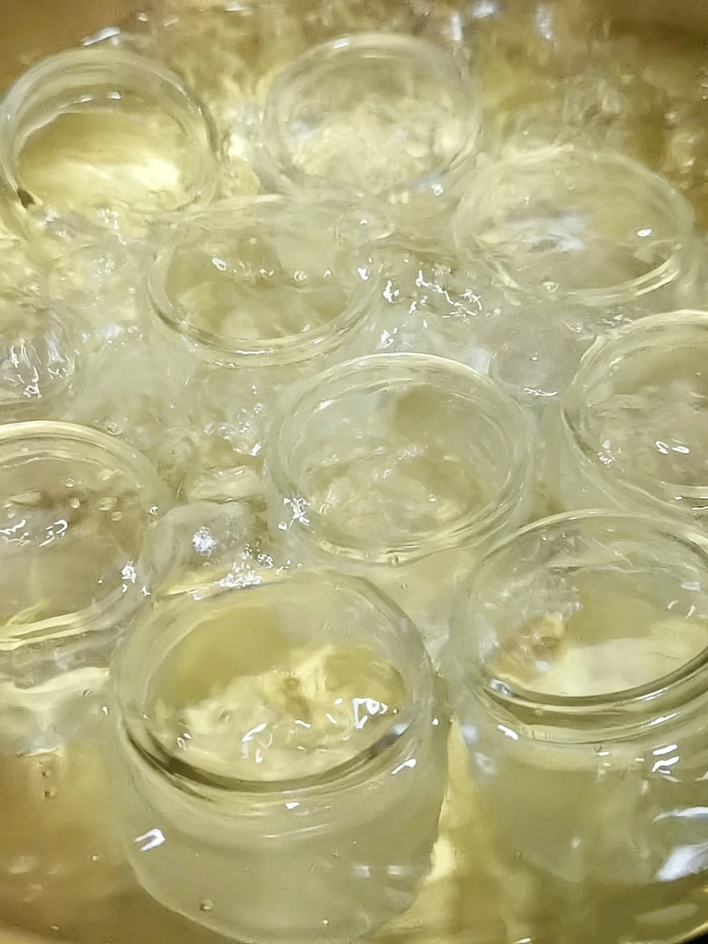 Ancient Persimmon Leaf Lard Balm - Handcrafted Brightening & Deep Nourishing Skin Salve
