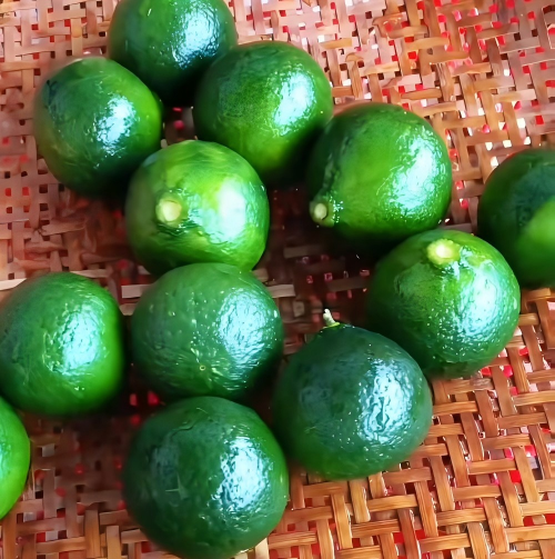 Citrus-Pu’erh Relief—nature's answer to post-meal comfort. No bloating. No heaviness. Just light, vibrant energy.